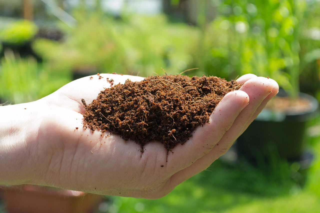 Why Is the Demand for Coco Coir Products Surging in the USA?
