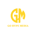 Why Go Hype Media is the Leading Website Development Agency in Delhi