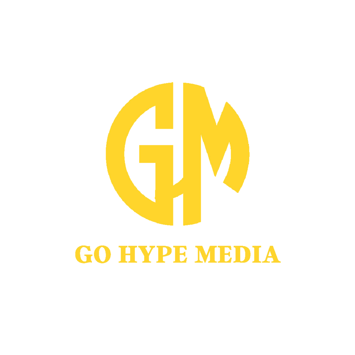 Why Go Hype Media is the Leading Website Development Agency in Delhi