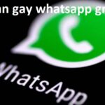 Exploring Indian Gay WhatsApp Groups: Connection and Community