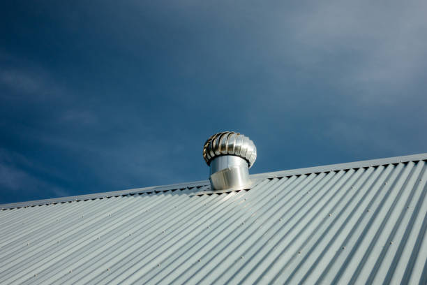 Roof Ventilation Explained: Why It’s Essential for a Healthy Home