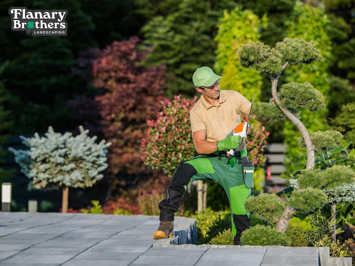 Eco-Friendly Weed Control That Preserves Your Soil and the Environment