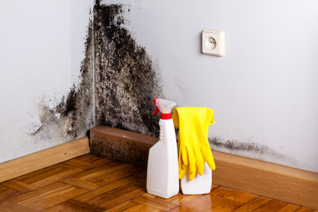 The Link Between Mold Exposure and Respiratory Issue