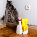 The Link Between Mold Exposure and Respiratory Issue
