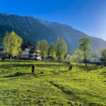 Discover Neelum Valley: Pakistan’s Pristine Mountain Paradise