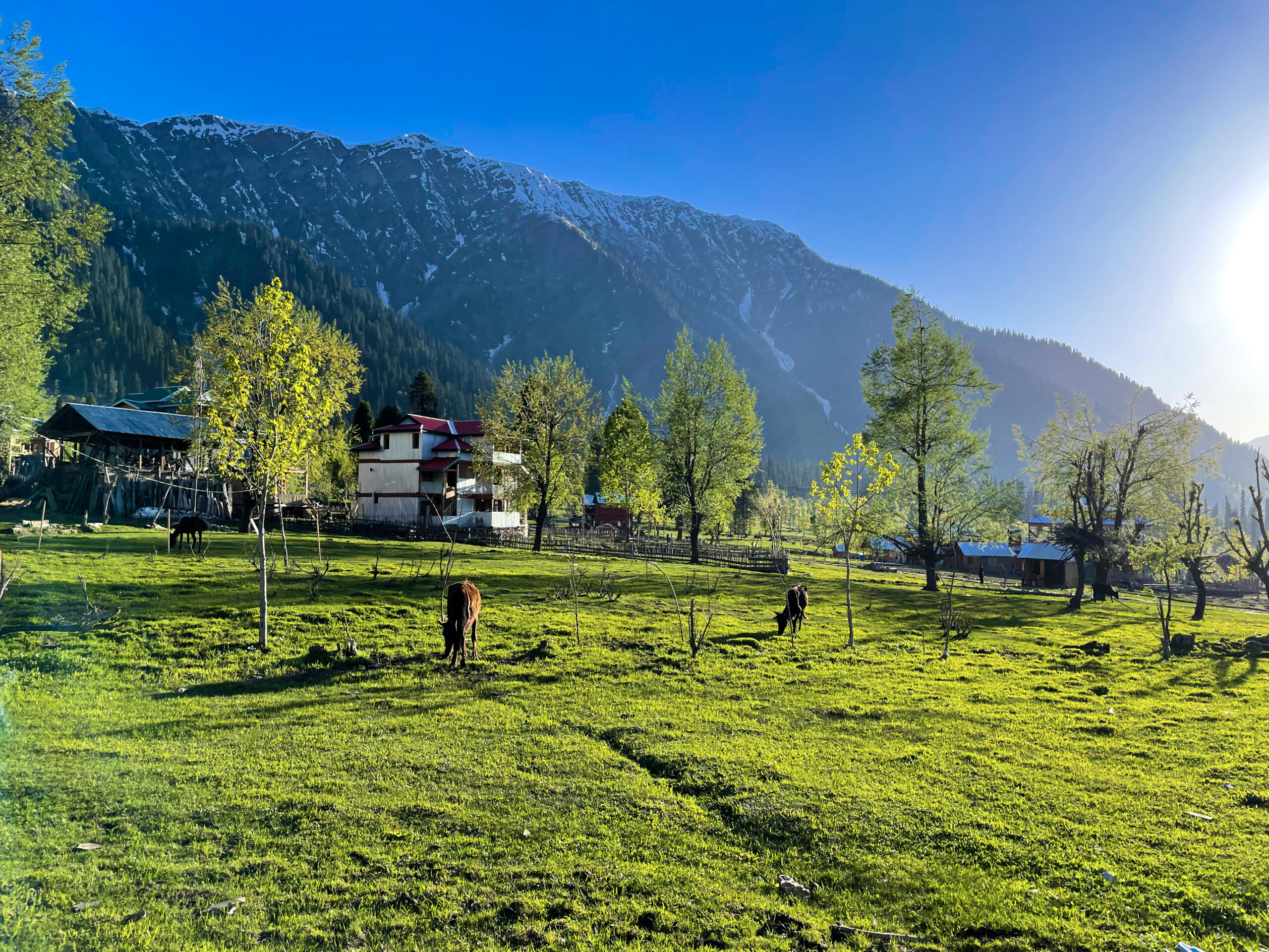 Discover Neelum Valley: Pakistan’s Pristine Mountain Paradise