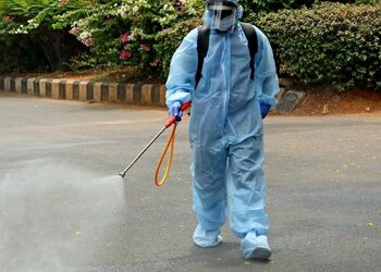 Fumigation Services & Termite Complete Pest Solutions