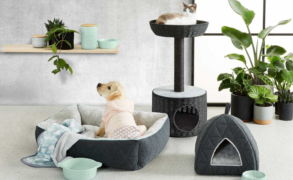 Why Overstock Pet Supplies and Overstock Board Games Are Hidden Gold for Smart Shoppers