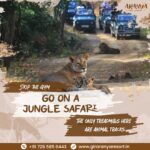 3-Day Sasan Gir Itinerary for Wildlife Enthusiasts