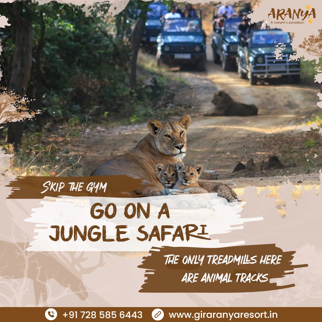 3-Day Sasan Gir Itinerary for Wildlife Enthusiasts