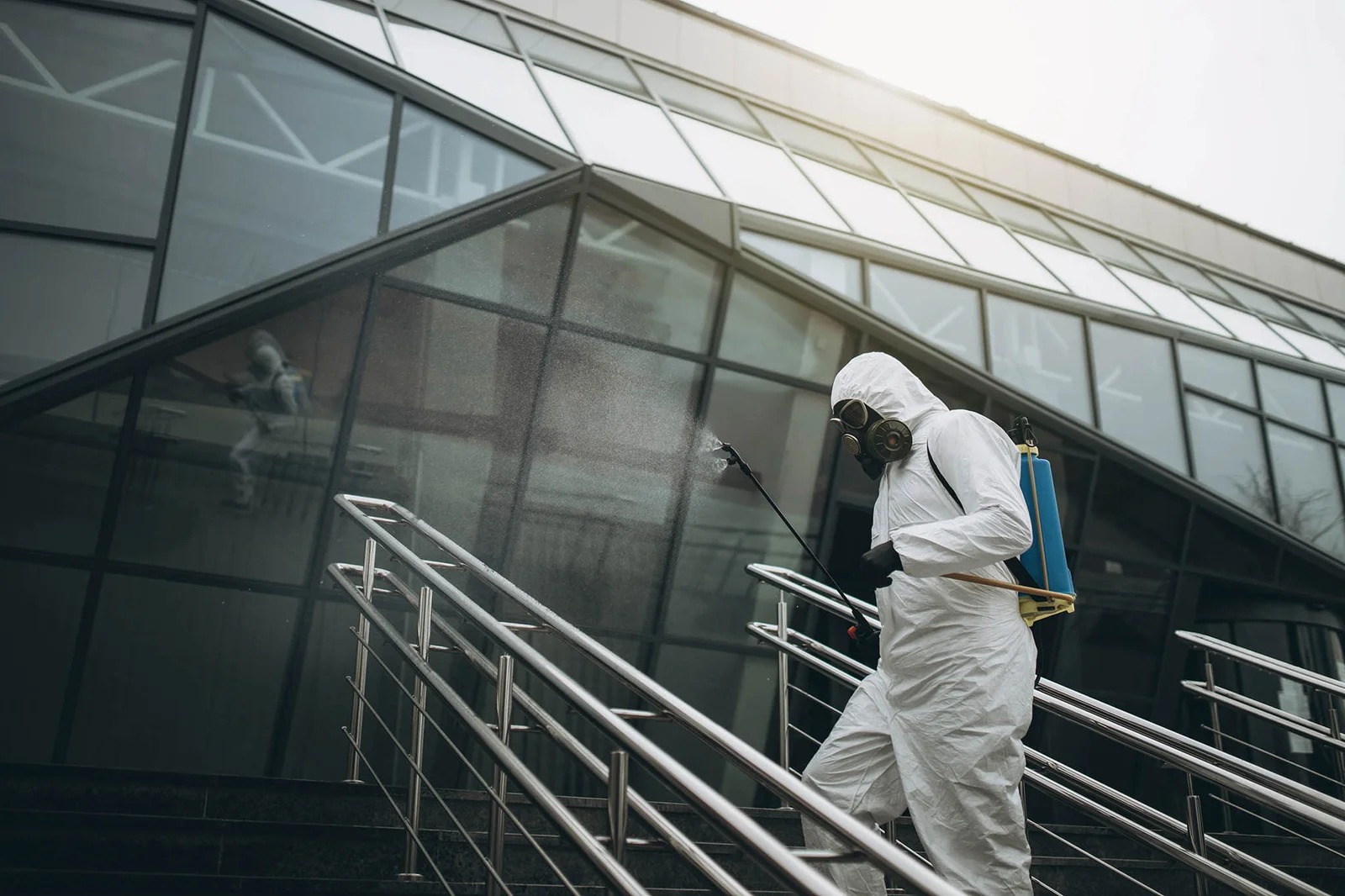 Keep Your Home Safe with Expert Pest Control in Hoppers Crossing