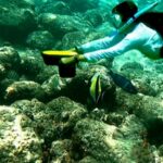 What If I Don’t Swim Well—Is Shore Snorkeling Still Safe?