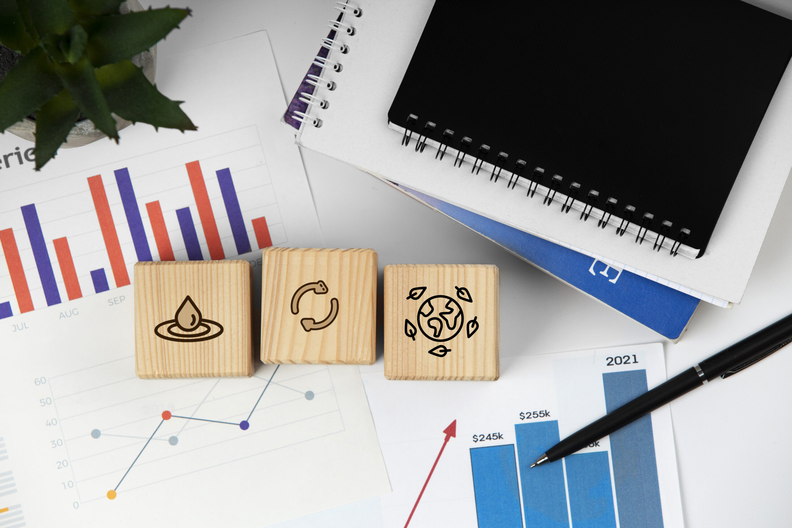 Transforming Finance: How Accounting Outsourcing Services Empower UK Businesses